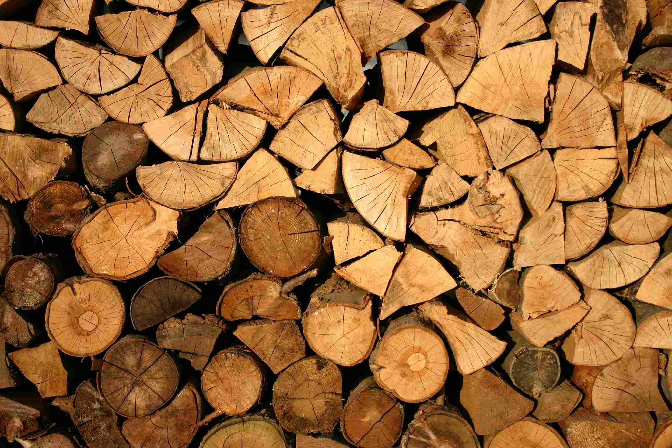 Types of Timber and Their Uses in Modern Architecture
