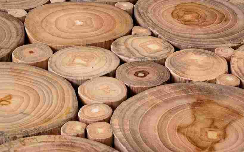 Building with timber isn't just a design choice—it's a commitment to a greener planet