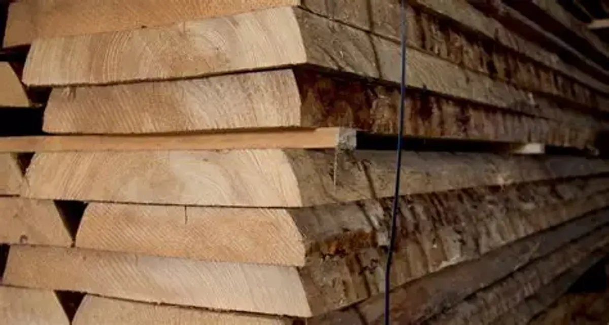 Canadian Pine SPF