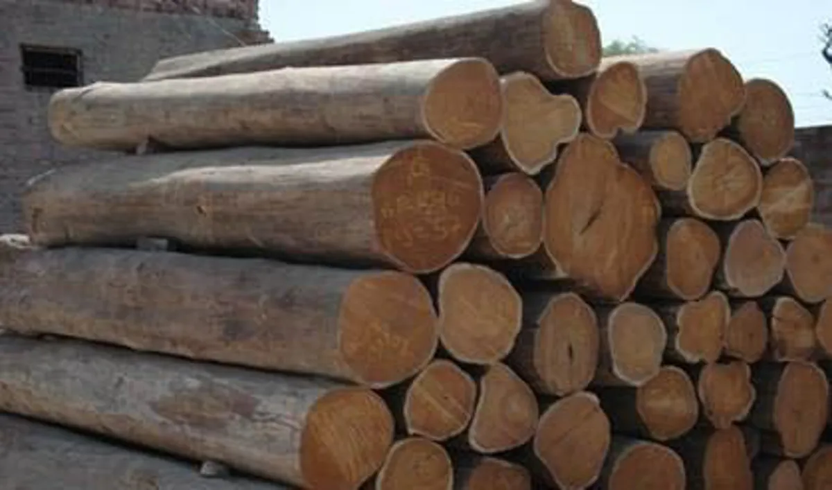 Tanzania Teak Logs / Sizes
